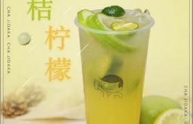 球客直播 ：金桔柠檬